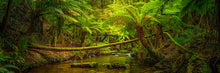 Load image into Gallery viewer, 1000 Piece Jigsaw Puzzle - Rainforest River
