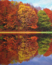 Load image into Gallery viewer, Autumn Colours Jigsaw Puzzle
