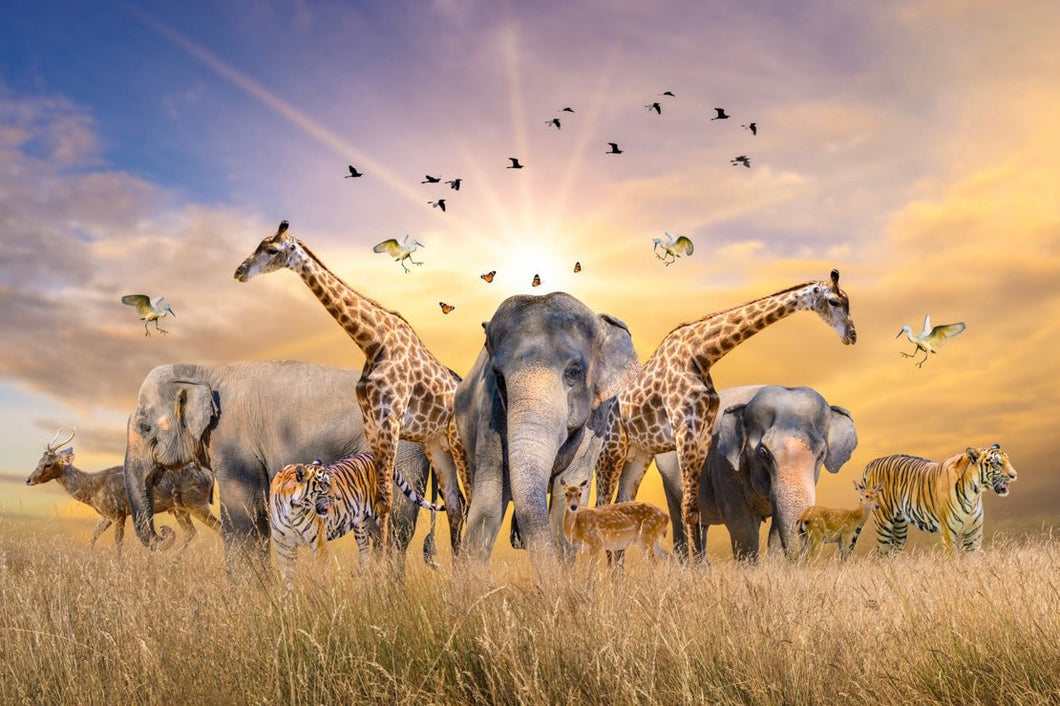African Dream Jigsaw Puzzle
