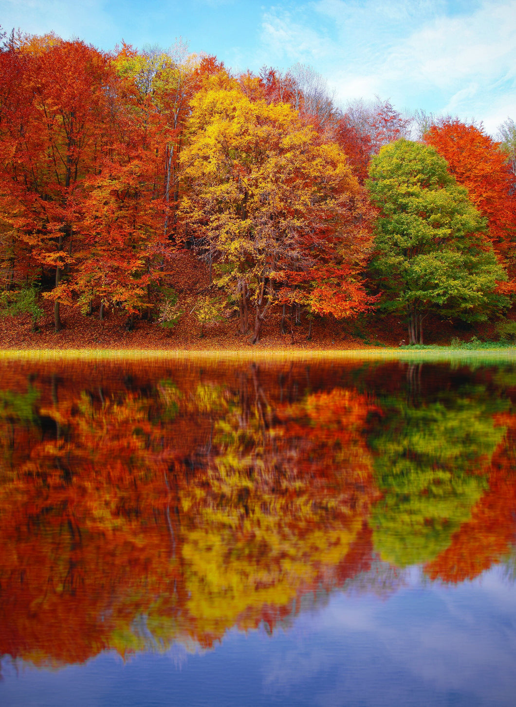 Autumn Colours Jigsaw Puzzle