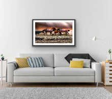 Load image into Gallery viewer, Dramatic Skies Horse Play Wall Print
